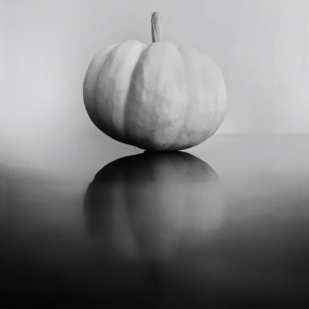Collection 30+ Stock Images simple black and white still life photography Updated Collection 30+ Stock Images simple black and white still life photography Updated